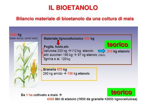 ENERGIA DA BIOMASSA: i biocarburanti