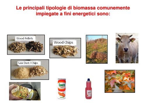 ENERGIA DA BIOMASSA: i biocarburanti