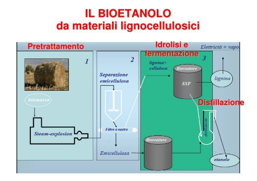 ENERGIA DA BIOMASSA: i biocarburanti