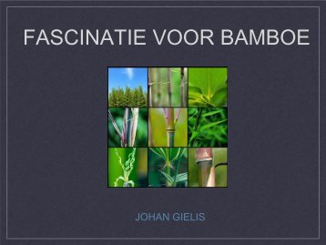 Bamboe als innovatief landbouwgewas - Agripress