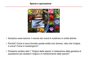 Specie e speciazione