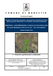 Relazione agroforestale ed ambientale