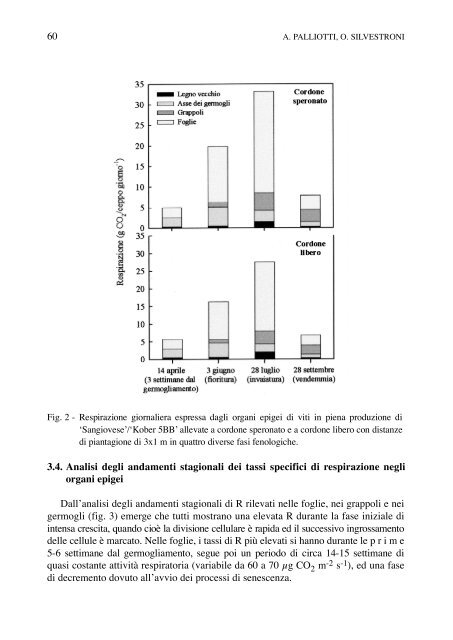 Analisi dei processi di respirazione negli organi epigei della Vitis ...