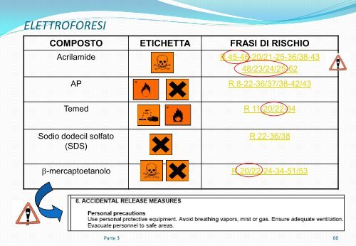 Il rischio chimico - Dipartimento di Neuroscienze e Tecnologie ...