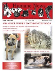 HN February 2008 - Associated Humane Societies