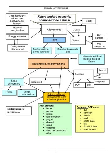 Filiera lattiero casearia: composizione e flussi - Laboratorio di ...