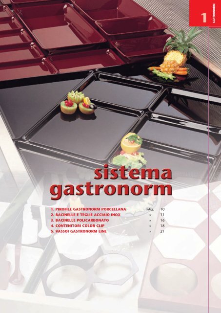 sistema gastronorm