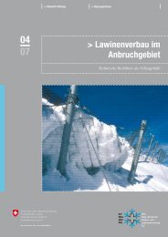 Technische Richtlinie: Lawinenverbau im Anbruchgebiet - SLF