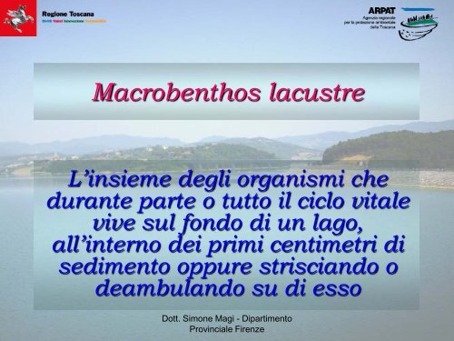 Elementi biologici: macrobenthos (Simone Magi) - Arpat