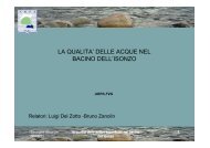 la qualita' delle acque nel bacino dell'isonzo - Autorità di Bacino dei ...