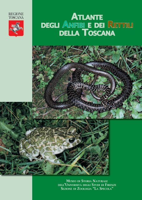 atlante degli anfibi e dei rettili della toscana - Università degli Studi ...