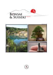 Settembre 2009 - Napoli Bonsai Club