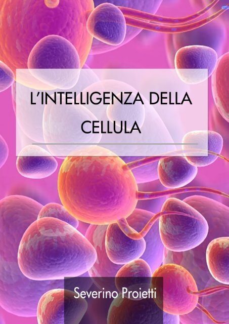 incapace di muovere le viscere dopo la rimozione della prostata incapace di muovere le viscere dopo la rimozione della prostata