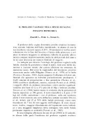 Il prolasso vaginale nella specie bufalina - Società Italiana di Buiatria