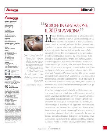 Scrofe in gestazione, il 2013 si avvicina - L'Azienda Agricola Rossetti