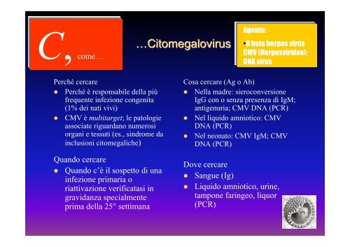 Infezioni del feto e del neonato: uso e significato degli esami microbiologici