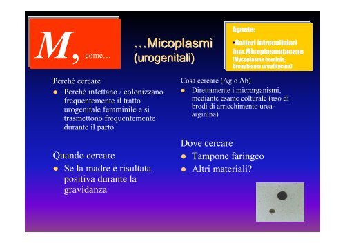 Infezioni del feto e del neonato: uso e significato degli esami microbiologici