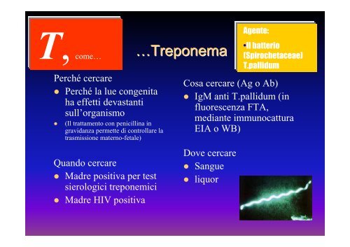 Infezioni del feto e del neonato: uso e significato degli esami microbiologici