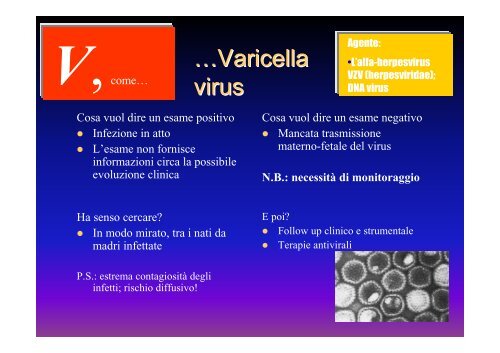 Infezioni del feto e del neonato: uso e significato degli esami microbiologici