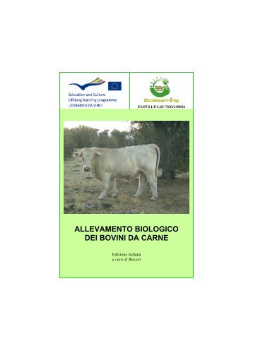 ALLEVAMENTO BIOLOGICO DEI BOVINI DA CARNE - IFES