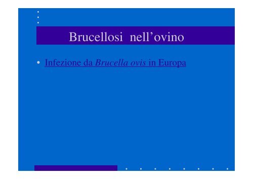 Brucellosi - Cuteri.eu