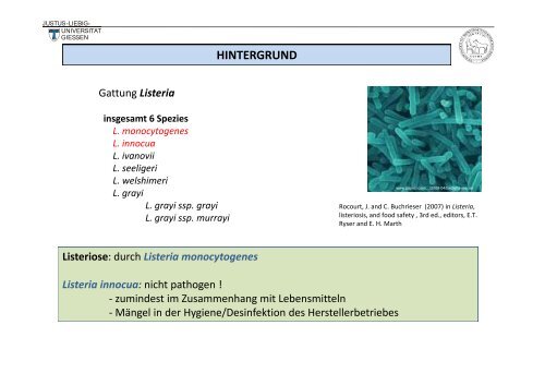 Listeria innocua - Justus-Liebig-Universität Gießen