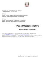 P.O.F. 2012/2013 (ver 0.2 - in aggiornamento) - ISTITUTO ...