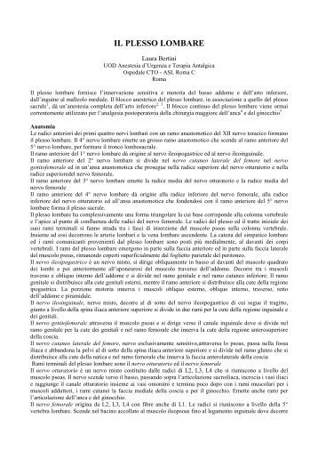 38 settimane molto si feriscono una vita
