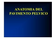 1357125200-Anatomia Pelvica.pdf