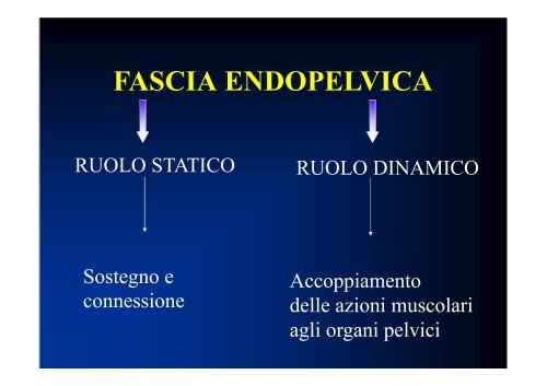 1357125200-Anatomia Pelvica.pdf