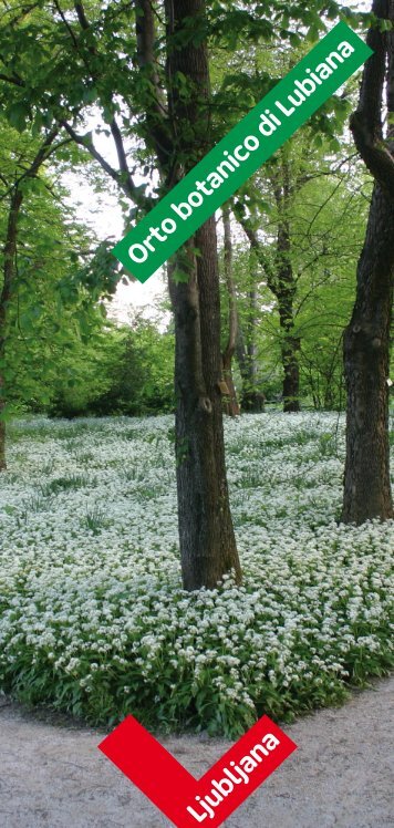 Orto botanico di Lubiana - Ljubljana