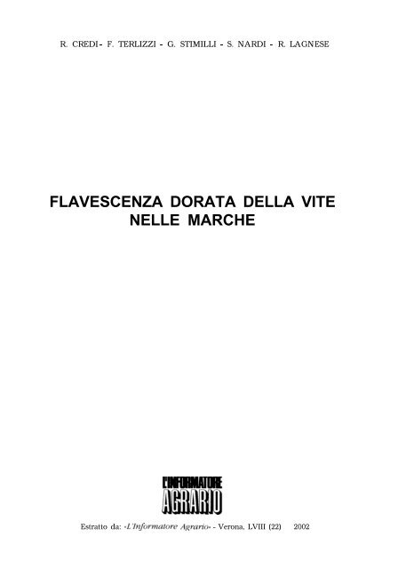 FLAVESCENZA DORATA DELLA VITE NELLE MARCHE - Assam