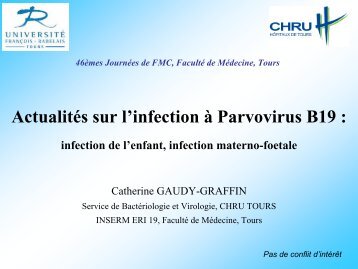 Actualités sur l'infection à Parvovirus B19 : - FMC de Tours