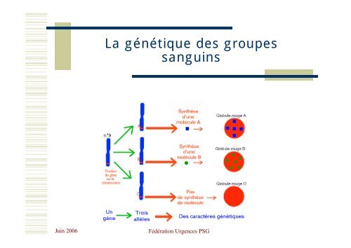 Transfusion sanguine