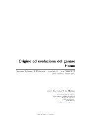 Origine ed evoluzione del genere Homo - ArcheoServer