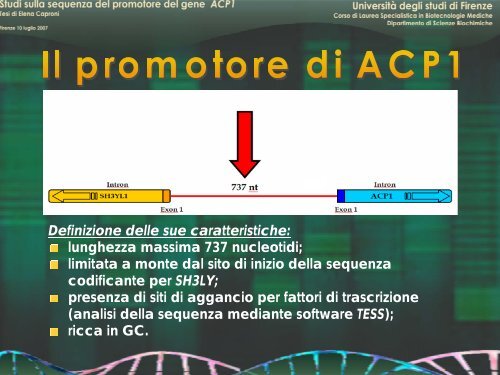 Diapositiva 1 - Medicina e Chirurgia - Università degli Studi di Firenze