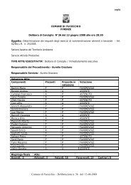 Delibera Consiglio Comunale n.36 del 13/06/08 - Comune di ...