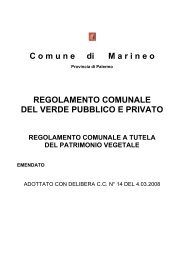 Regolamento comunale del verde pubblico e privato - Comune di ...