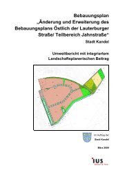 Bebauungsplan - Verbandsgemeinde Kandel