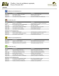 Planillas y listas de candidaturas registradas Proceso Electoral 2013
