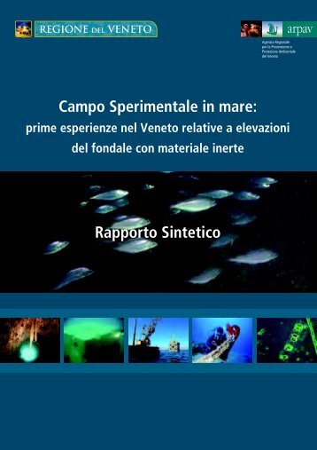 Campo Sperimentale in mare: Rapporto Sintetico - Arpav