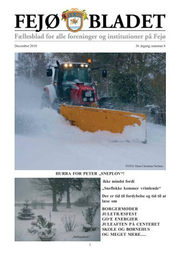 Fejoe-Bladet, 2010 - Nyheder fra Fejø – Huse til salg