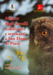 Nardo A. (a cura di), 2003 - Ornitologia Veneziana