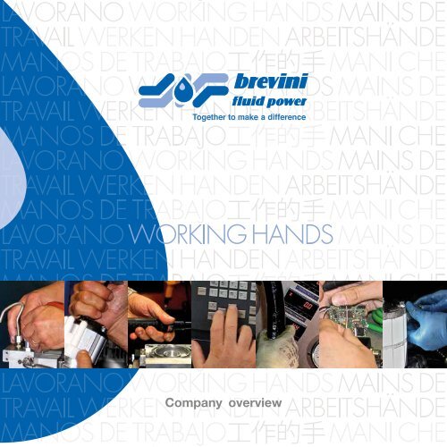 Company overview Brevini Fluid Power