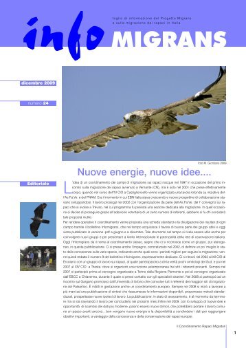 La migrazione dei rapaci sulle Alpi Apuane (LU) - Parks.it