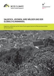 Salgesch, Jeizinen, ihre Wälder und der globale Klimawandel