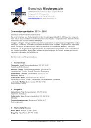 20130409_GNG-Organisation-2013-2016 - Gemeinde Niedergesteln