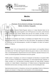 Mexiko Fachpraktikum - VIA e. V.