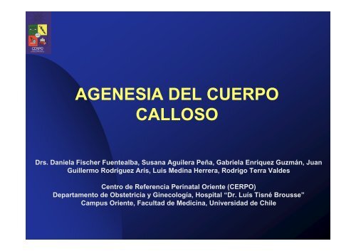 2020 agenesia del cuerpo calloso 2020 agenesia del cuerpo calloso