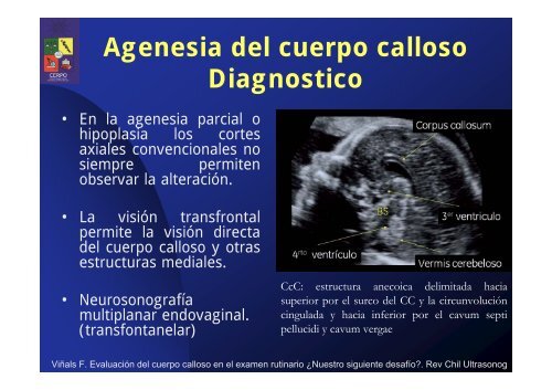 agenesia en animales que es y